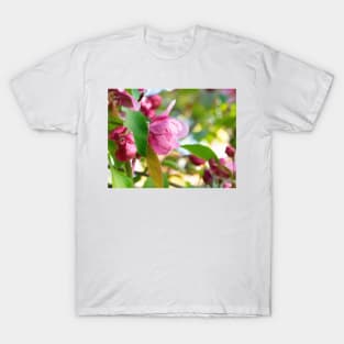 Photo of a beautiful pink cherry tree flowers T-Shirt